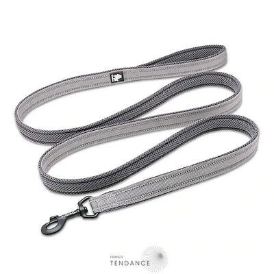 Laisse Lumineuse Réfléchissante | France-Tendance