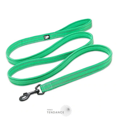 Laisse Lumineuse Réfléchissante | France-Tendance