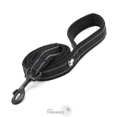 Laisse Lumineuse Réfléchissante | France-Tendance