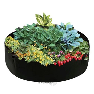 Magicgarden™ | Potager Instantané | France-Tendance