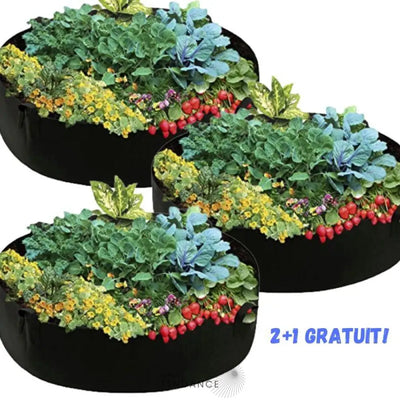 Magicgarden™ | Potager Instantané | France-Tendance