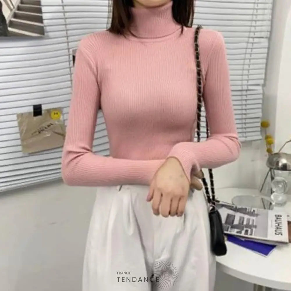 Pull Tricoté à Col Roulé | France-Tendance