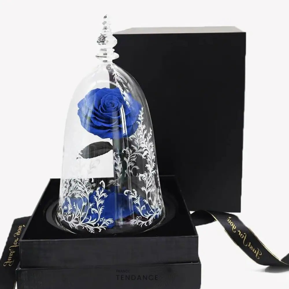 Rose éternelle Sous Cloche & En Boîte La Belle Et Bête Bleu