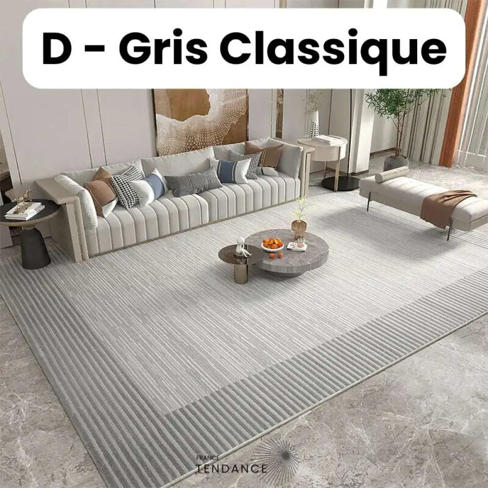 Tapis Magique Intachable | Incroyable Mais Vrai! D - Gris Classique / Paillasson (0.4X0.6M) Salon